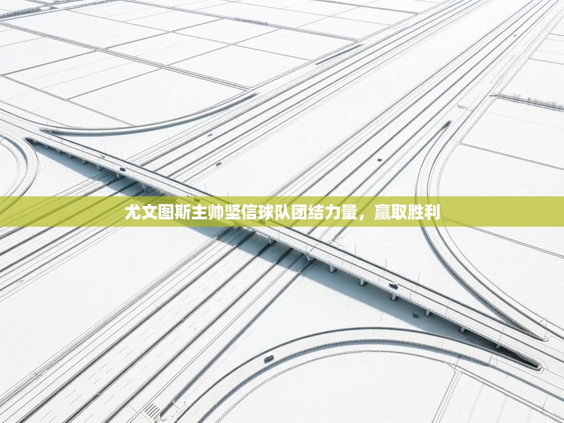 尤文图斯主帅坚信球队团结力量,赢取胜利 第2张