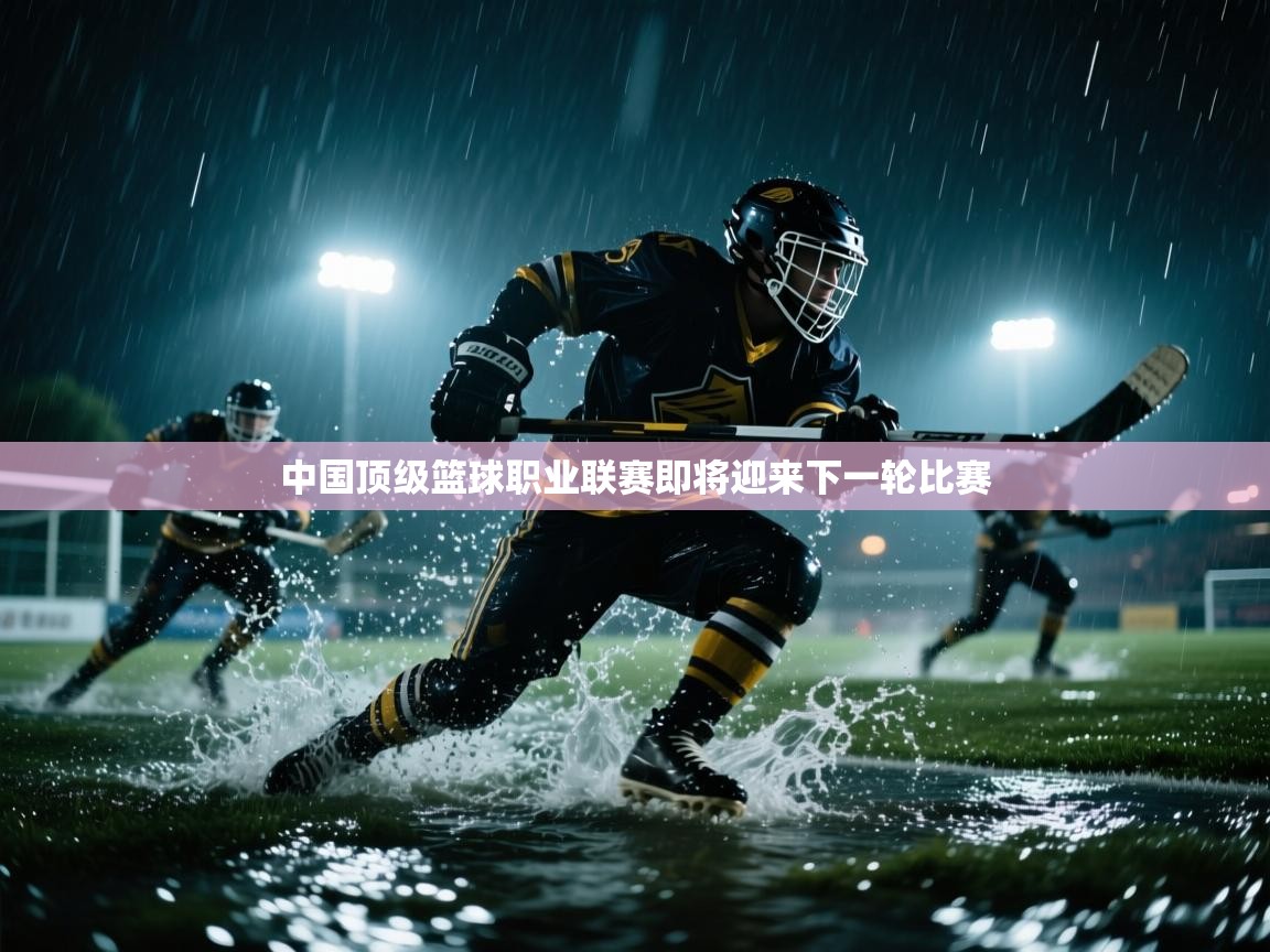 中国顶级篮球职业联赛即将迎来下一轮比赛  第1张
