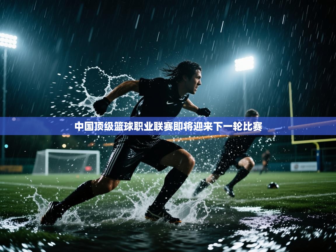 中国顶级篮球职业联赛即将迎来下一轮比赛  第2张
