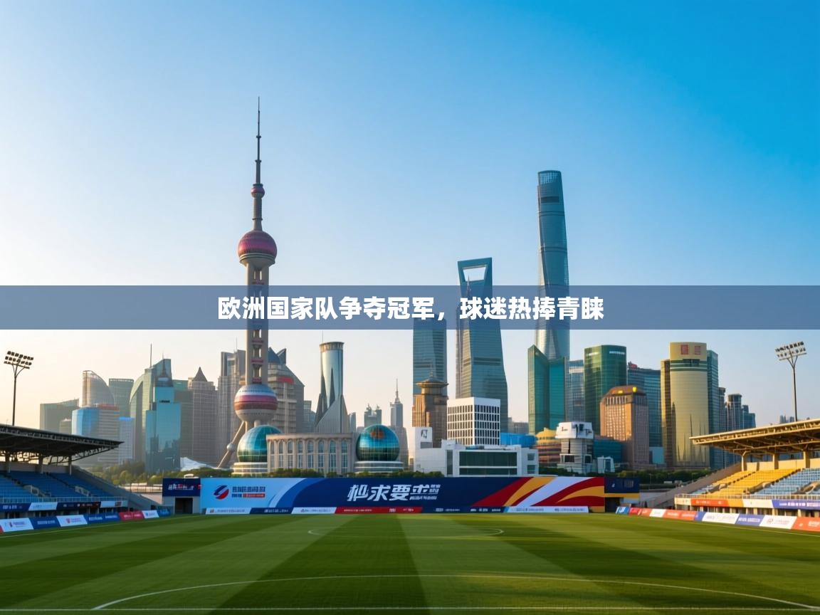 欧洲国家队争夺冠军,球迷热捧青睐 第2张